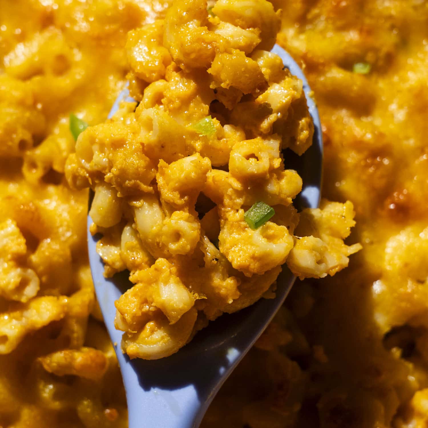 Why Pumpkin Jalapeño Mac and Cheese is Your Ultimate Fall Comfort Food